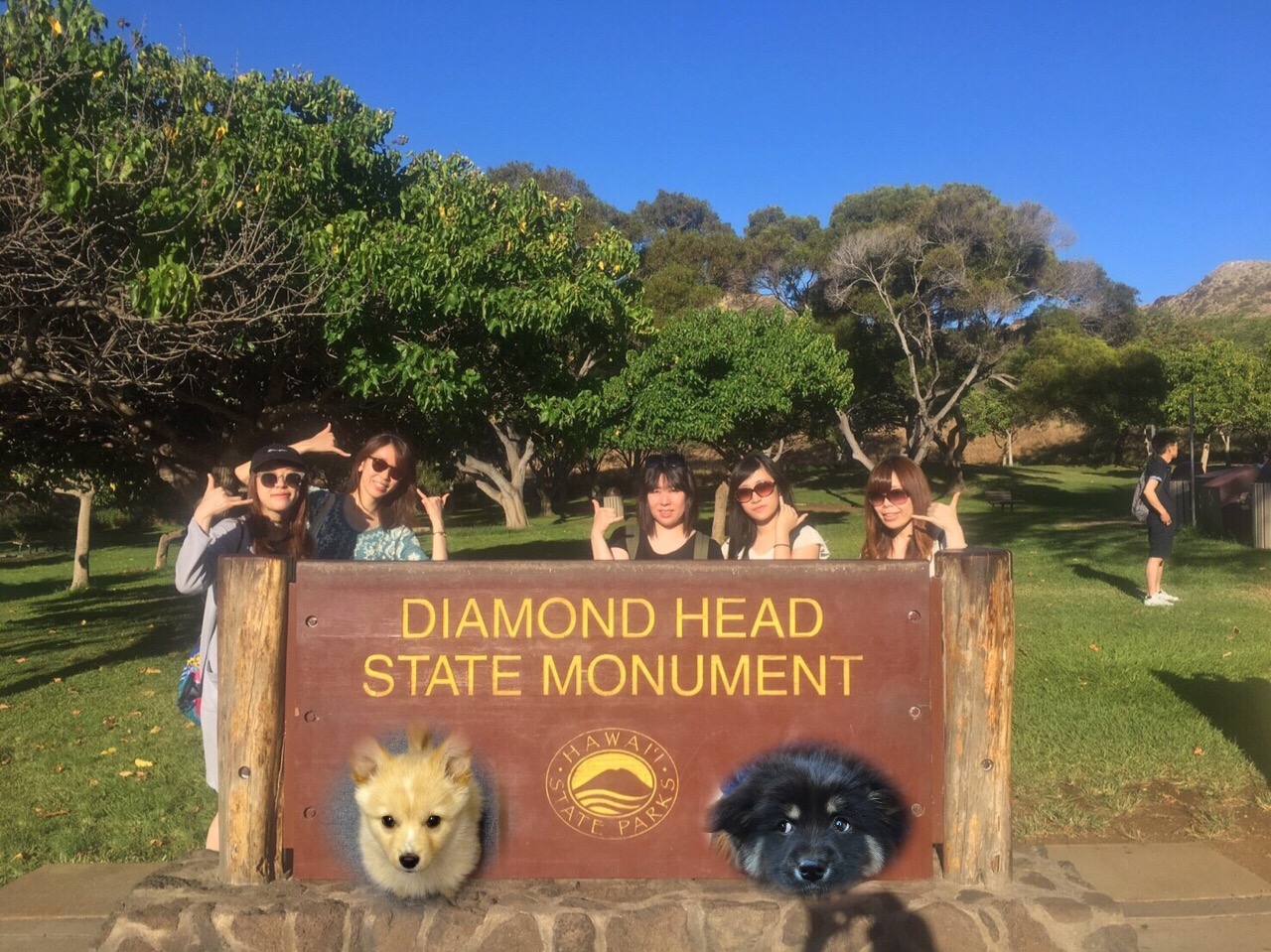 DIAMOND HEAD