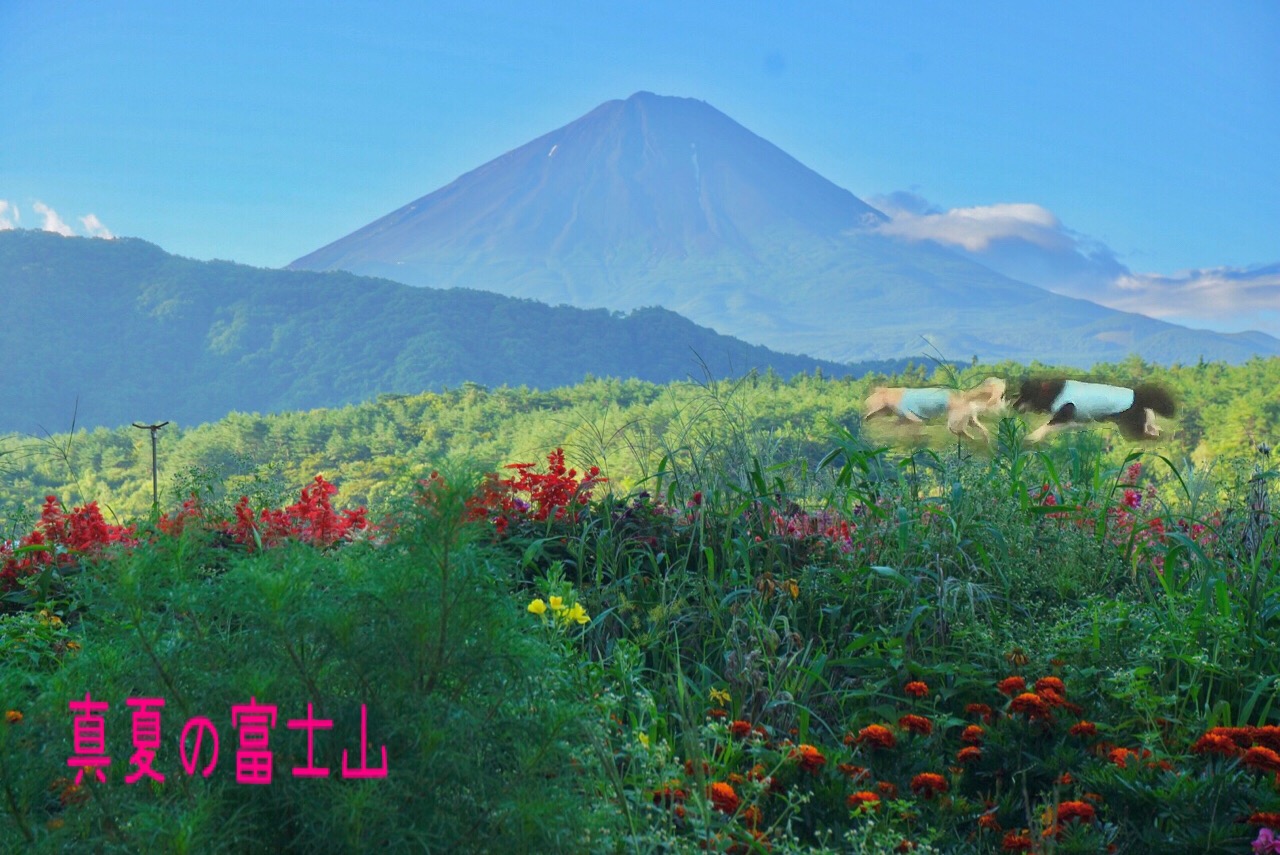 真夏の富士山